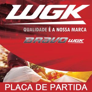 Placa Partida YBR 125 05-ED - WGK