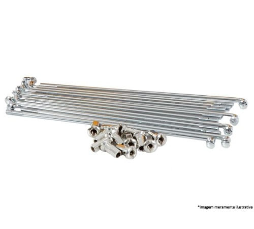 Jogo-de-Raio-XRE-300-Traseiro-Inox-4MM---DDL-Raio
