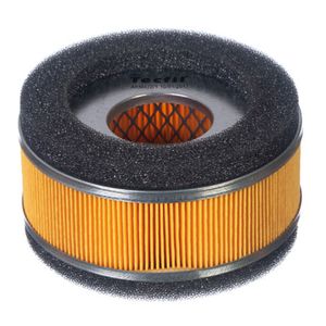 Filtro Ar Future 125 2010 Em Diante - Tecfil