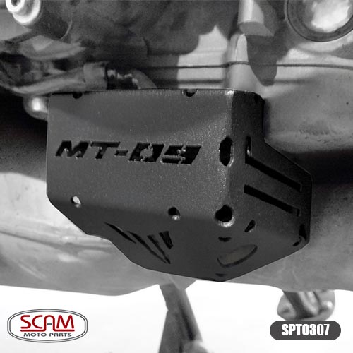SPTO307