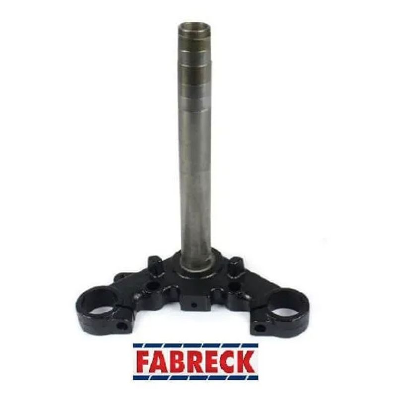 Mesa-Inferior-Titan-150-Ate-2008-Fan-150-2009-Ed---Fabreck2
