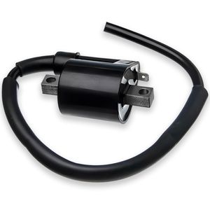Bobina Ignição Ybr 125 Factor 125 Xtz 125 2000 Até 2010