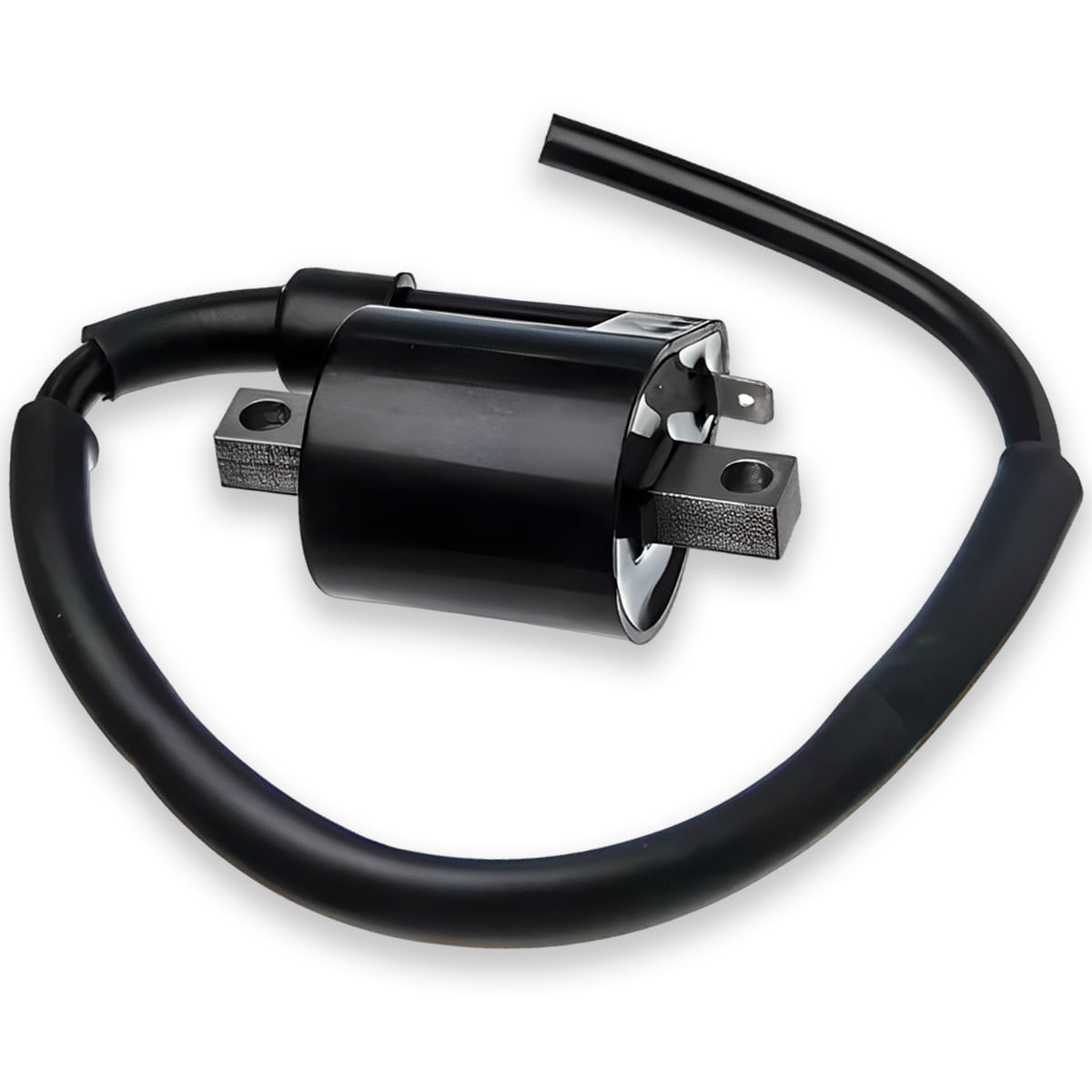 Bobina Ignição Ybr 125 Factor 125 Xtz 125 2000 Até 2010