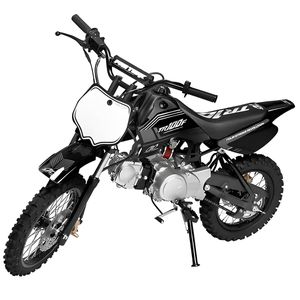 Mini Moto Pro Tork TR-100F Off Road Motocross 100cc