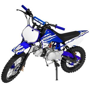 Mini Moto Pro Tork TR-100F Off Road Motocross 100cc